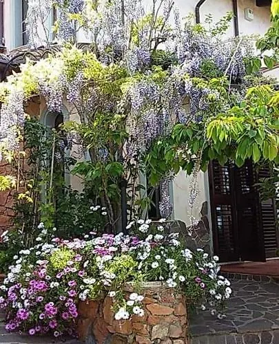 Frühstückspension Monti E Mare 3*