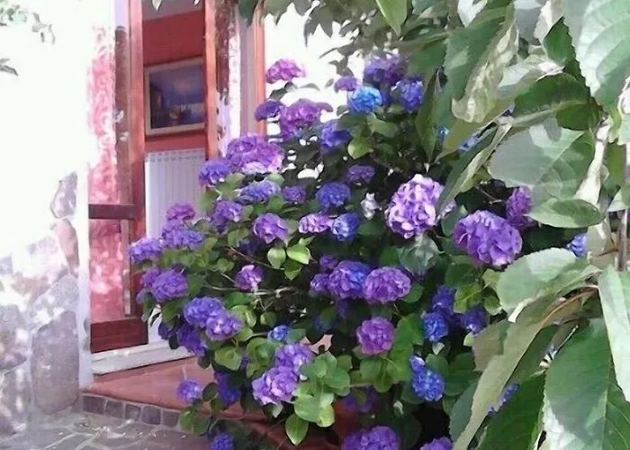 Monti E Mare Panzió