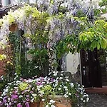 Bed & Breakfast Monti E Mare 3*