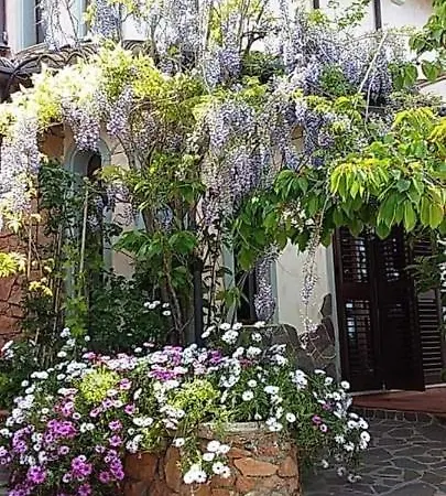 לינה וארוחת בוקר Monti E Mare 3*