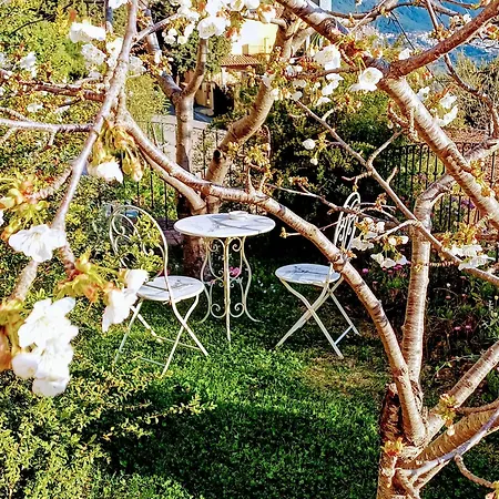 לינה וארוחת בוקר Monti E Mare לאנוסיי