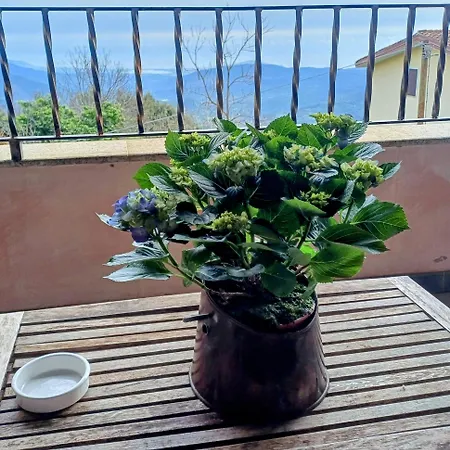 Bed & Breakfast Monti E Mare *