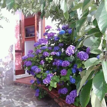 Monti E Mare לינה וארוחת בוקר