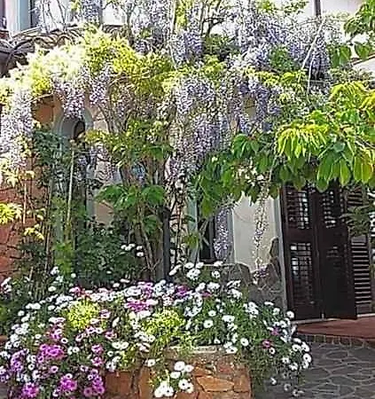 Monti E Mare B&B 라누세이